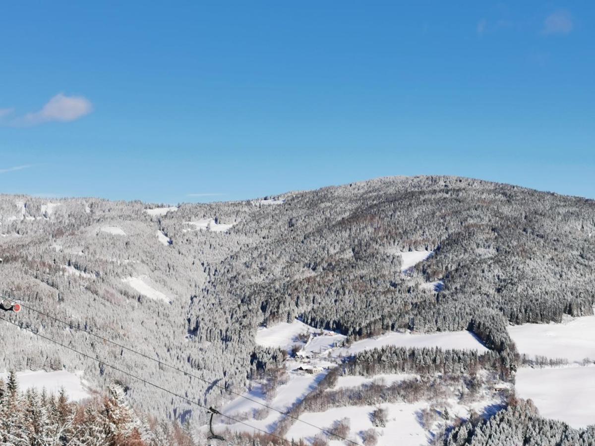 Alpengasthof Fernblick Mönichkirchen Kültér fotó