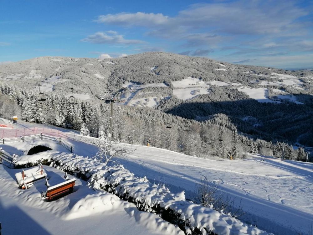 Alpengasthof Fernblick Mönichkirchen Kültér fotó