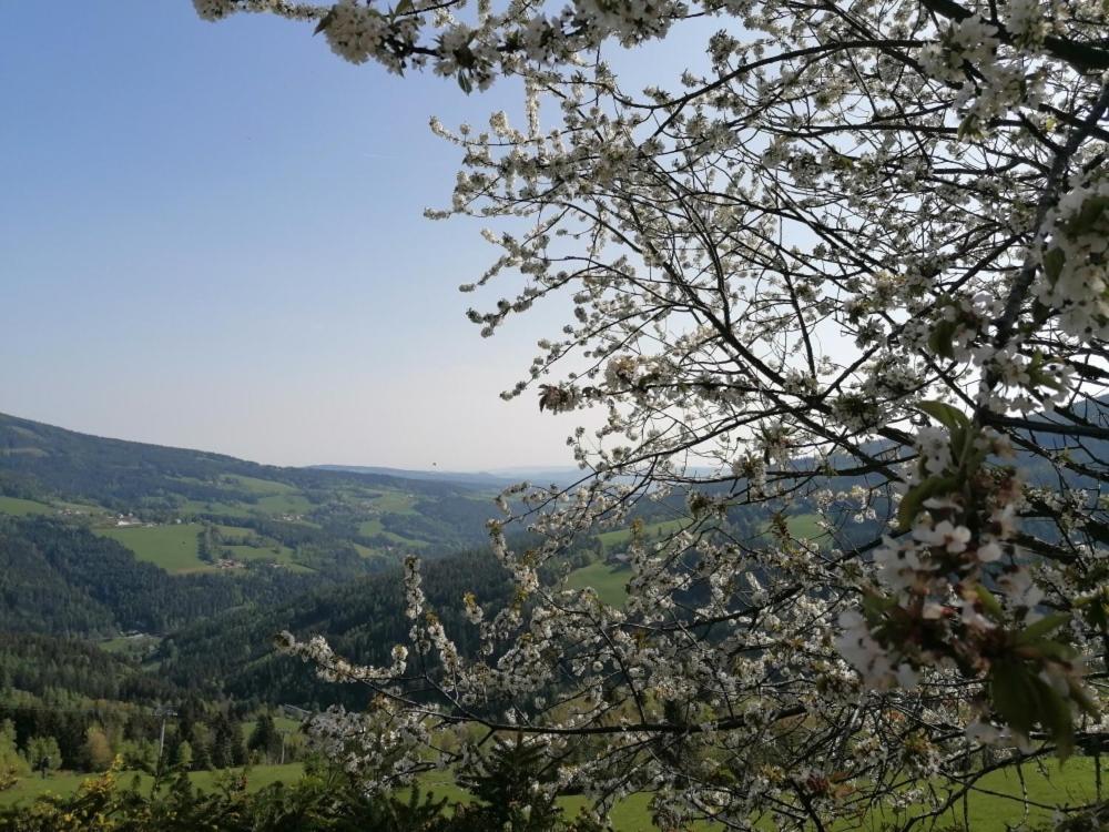 Alpengasthof Fernblick Mönichkirchen Kültér fotó