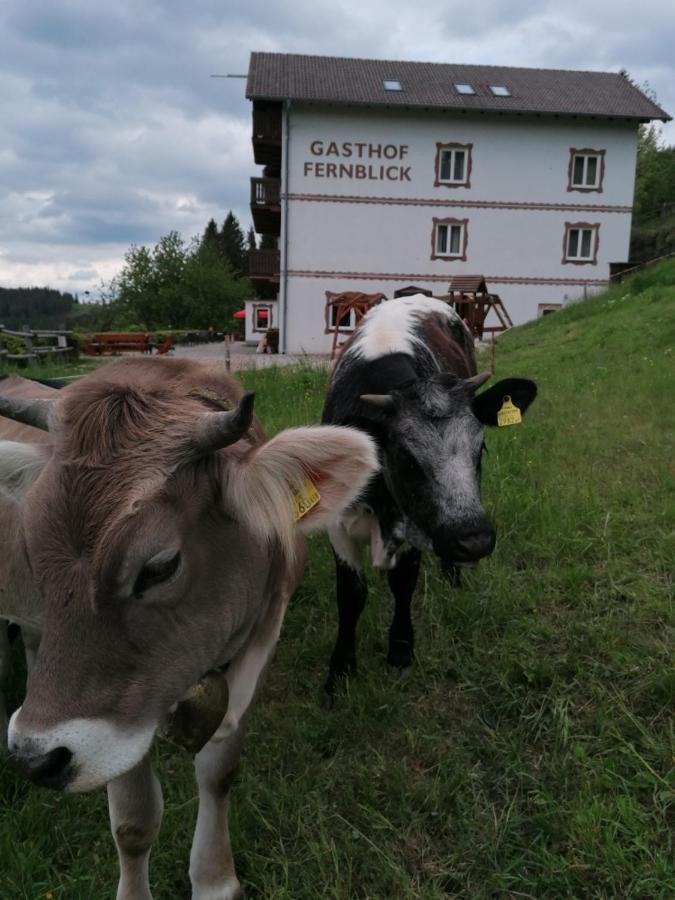 Alpengasthof Fernblick Mönichkirchen Kültér fotó